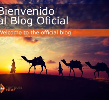 blog oficial