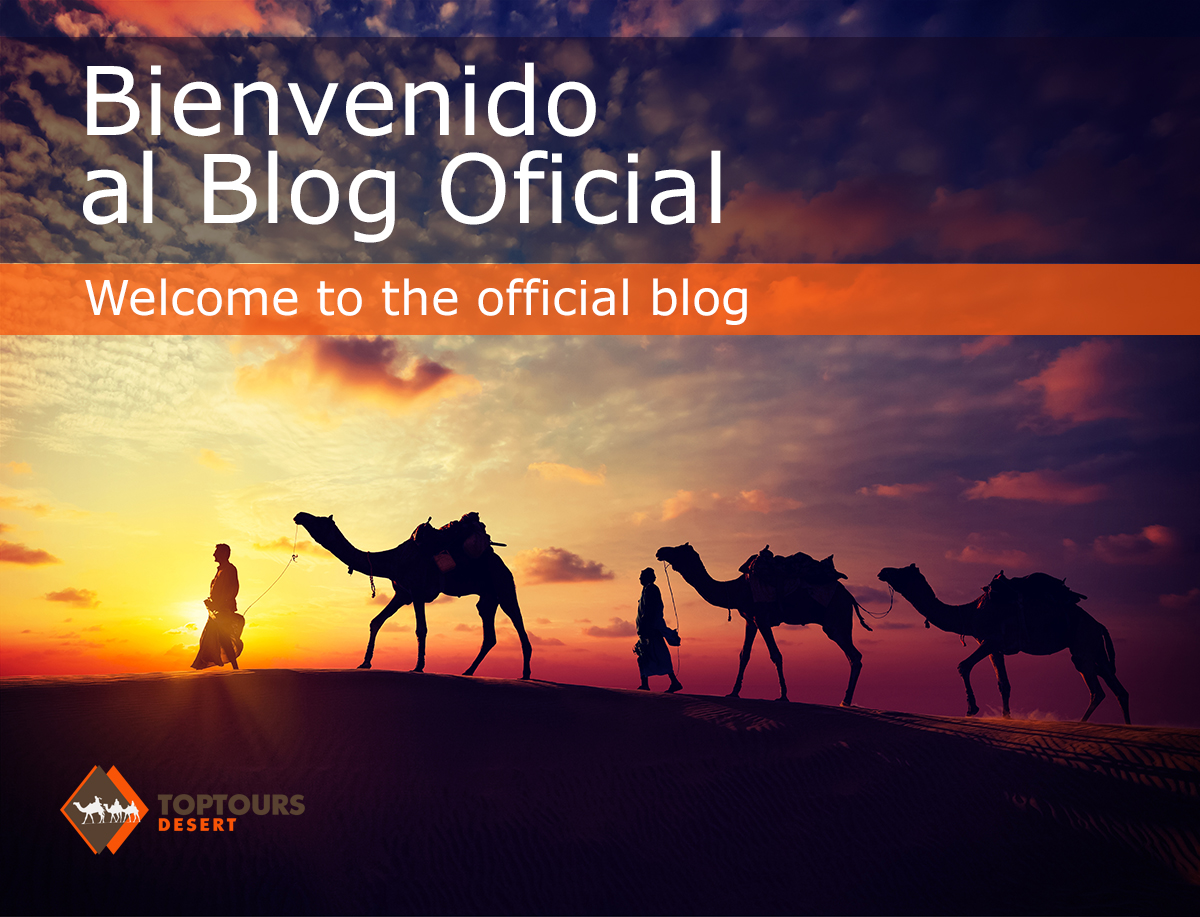 blog oficial