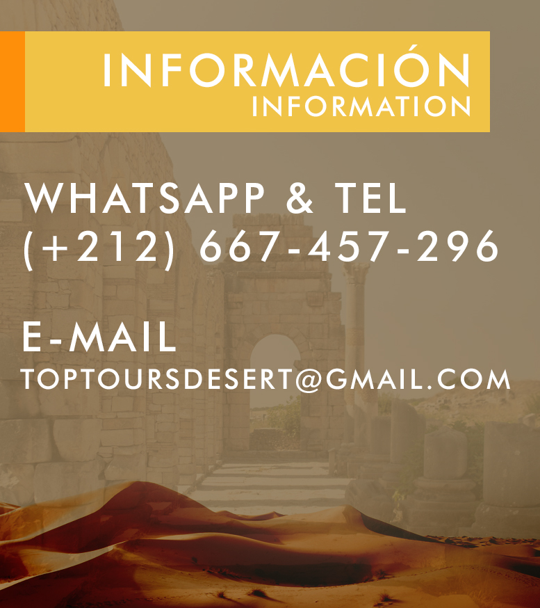 top tours desert informacion